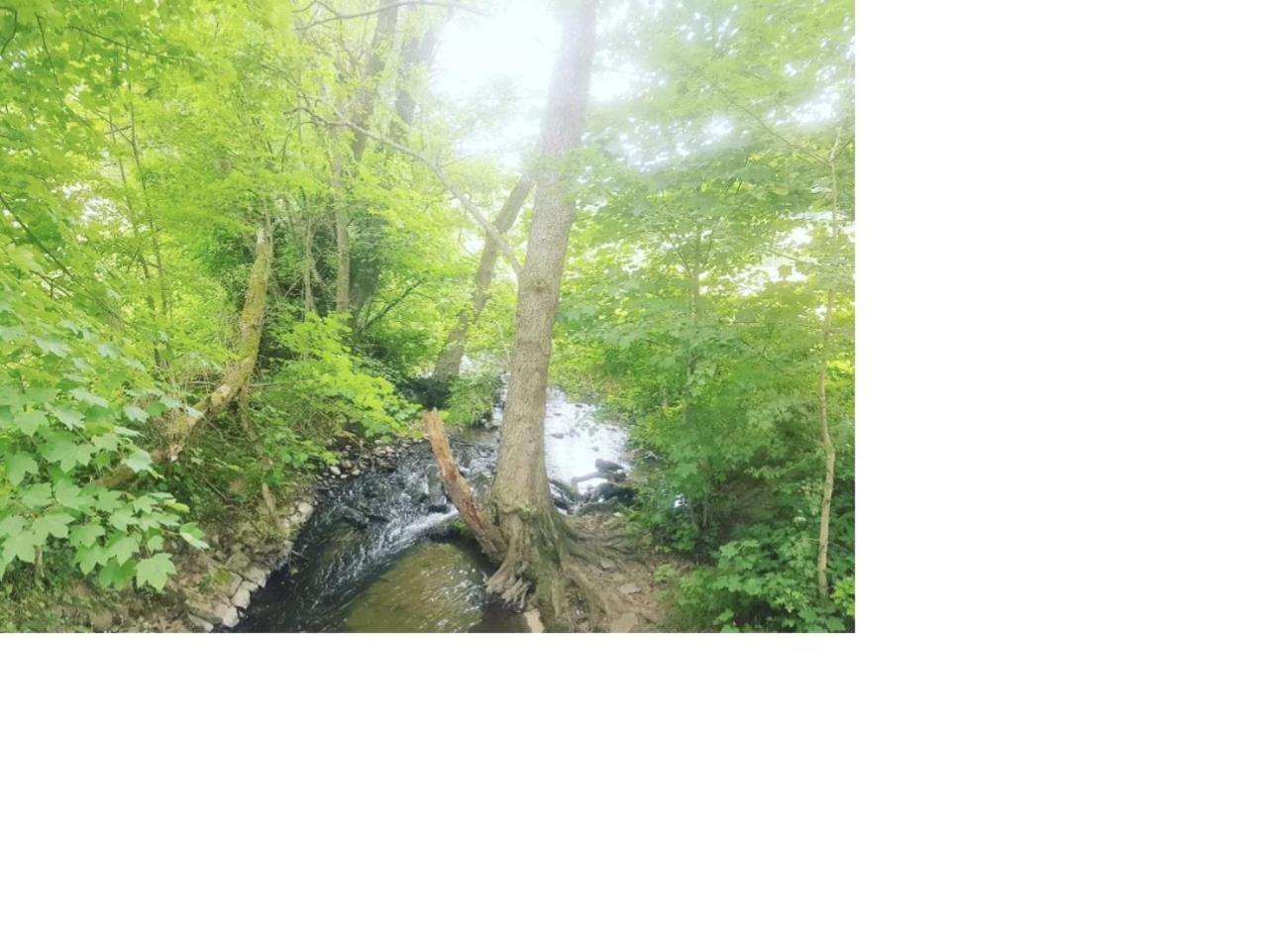Aussergewoehnliche Auszeit - Metime1 Felsberg Dış mekan fotoğraf